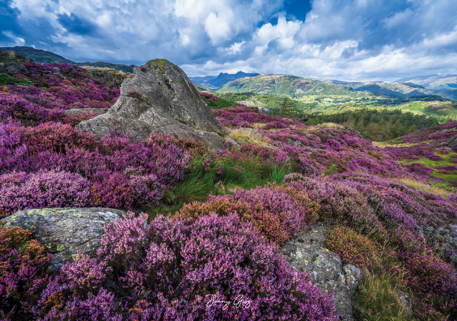 Jonny Gios 2026 Landscape Calendar