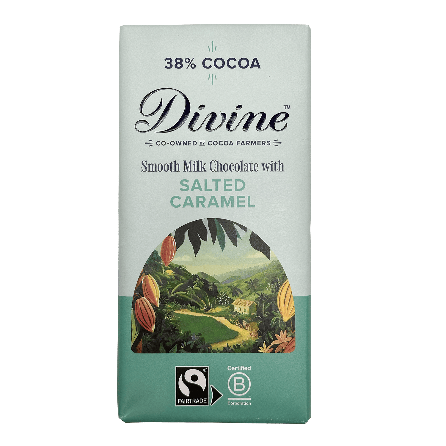 Divine Divine 38% Milk Chocolate with Salted Caramel Bar 90g