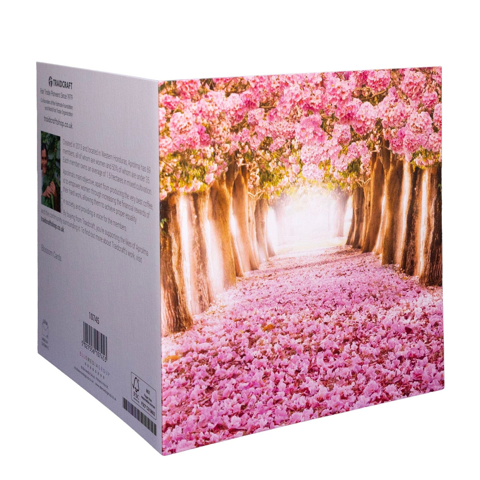 Traidcraft Blossom Cards