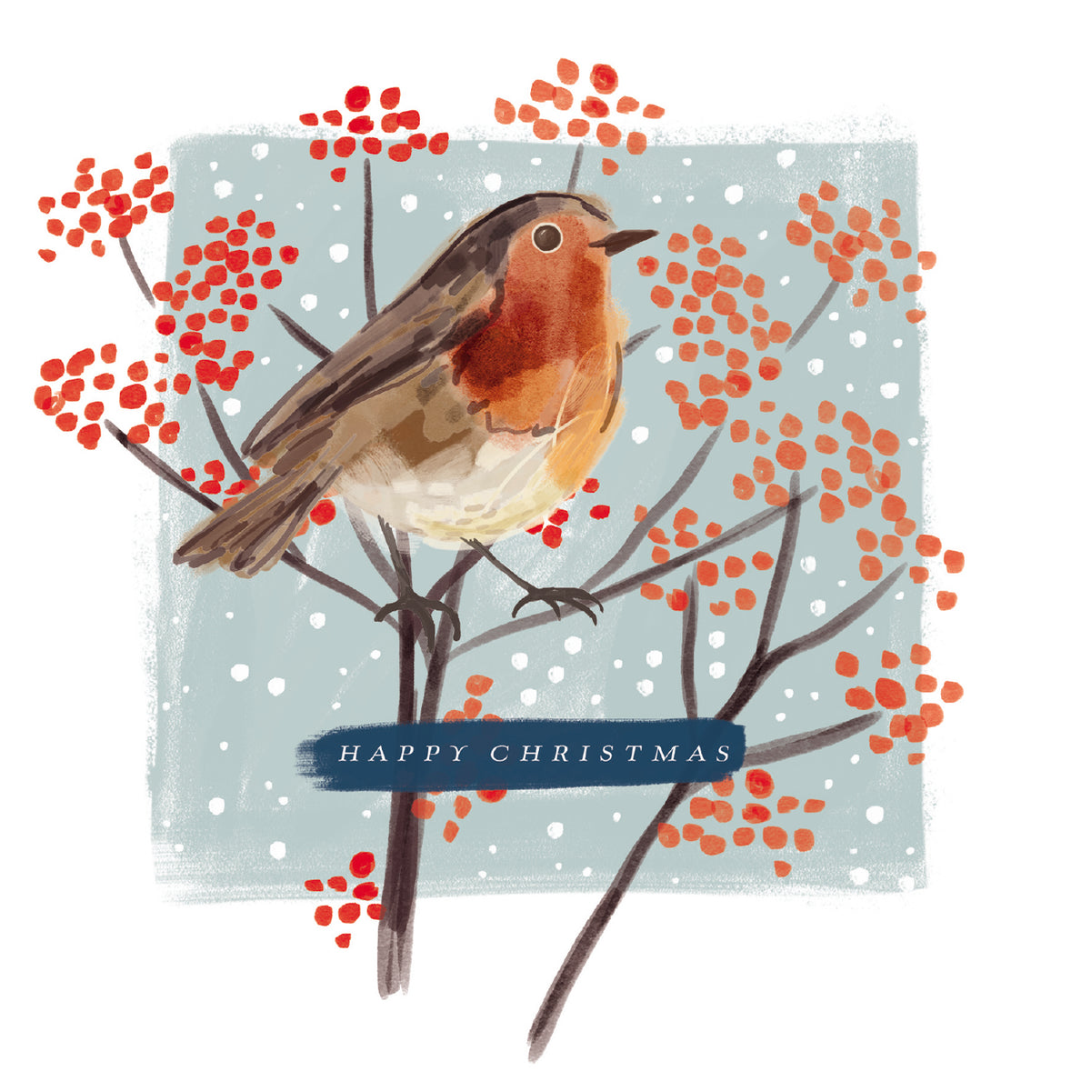 Robin &amp; Berries Charity Christmas Card (Pack of 10)