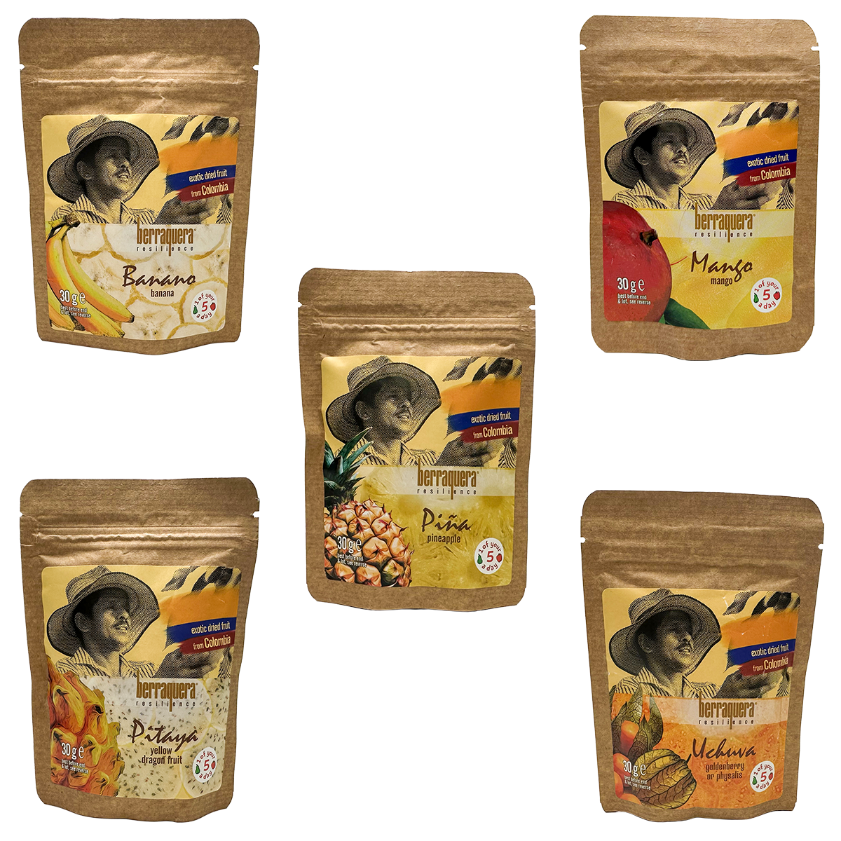Dried Fruit Selection Pack (21 sachets)