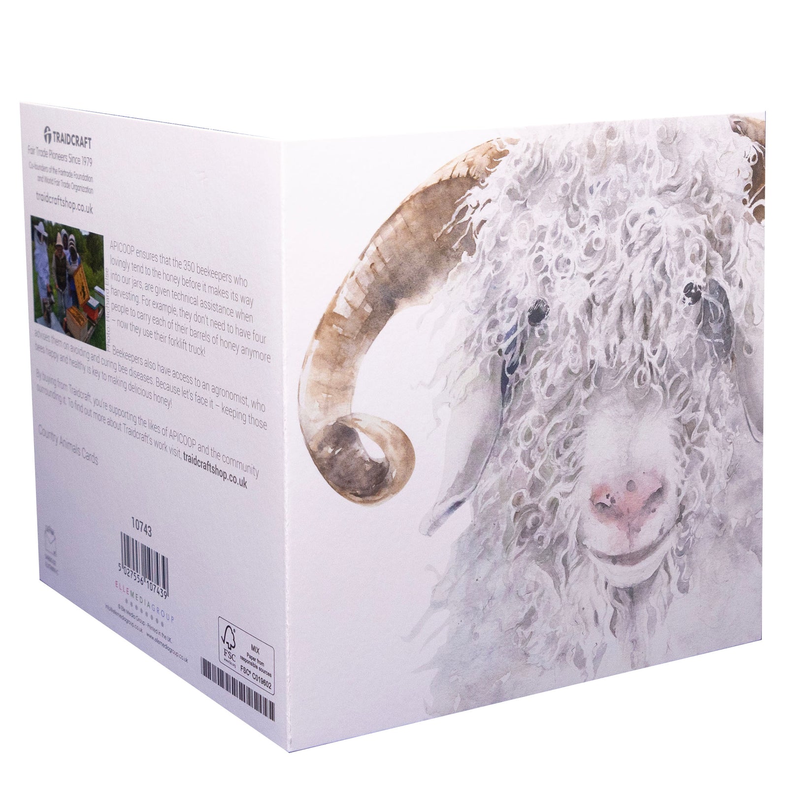 Country Animals Cards