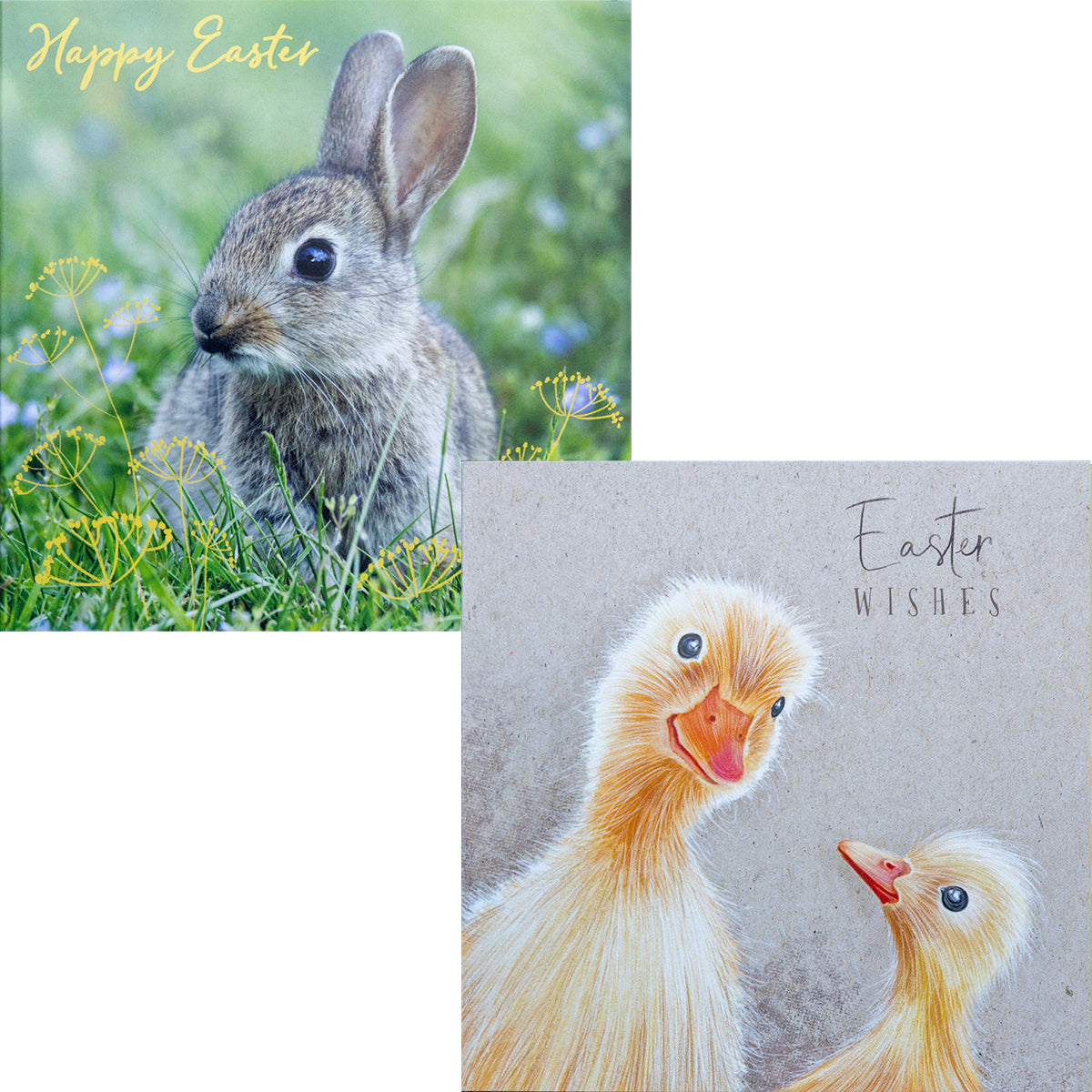 Easter Wishes Charity Easter Cards (Pack of 10)