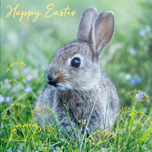 Easter Wishes Charity Easter Cards (Pack of 10)