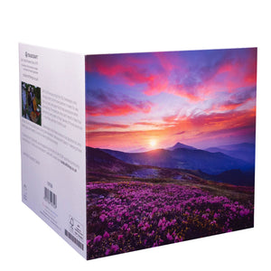 Lavender Sunsets Cards