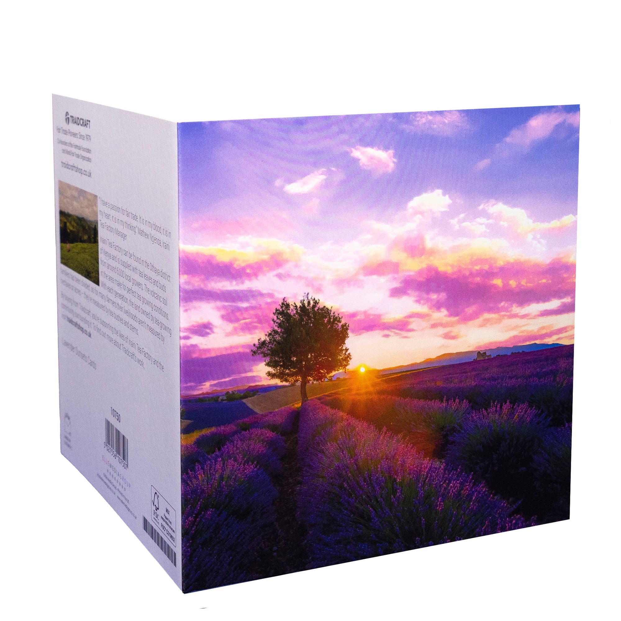 Lavender Sunsets Cards