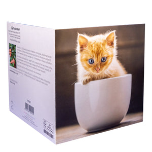 Occasions Card Pack (10 cards)