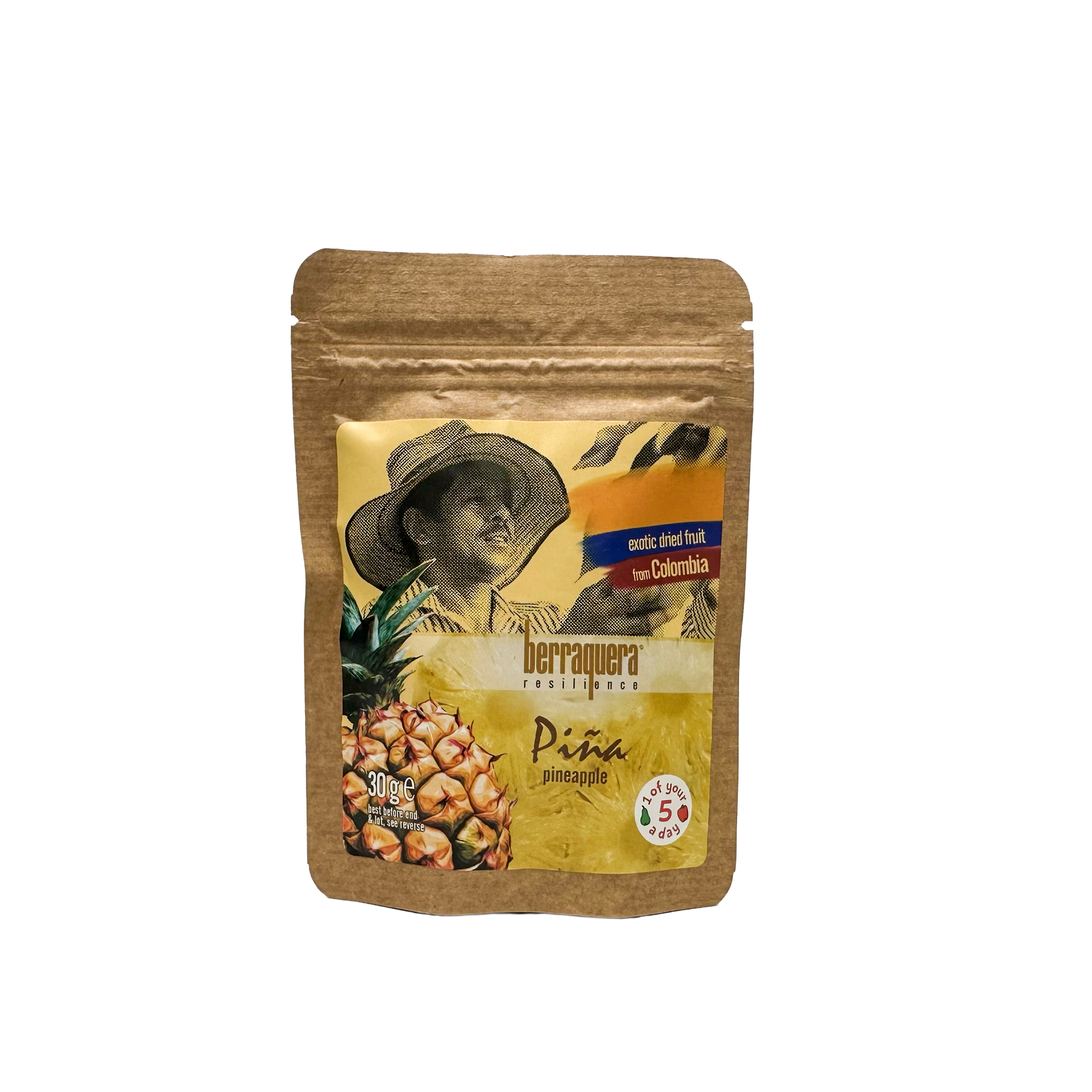 Dried Fruit Selection Pack (21 sachets)