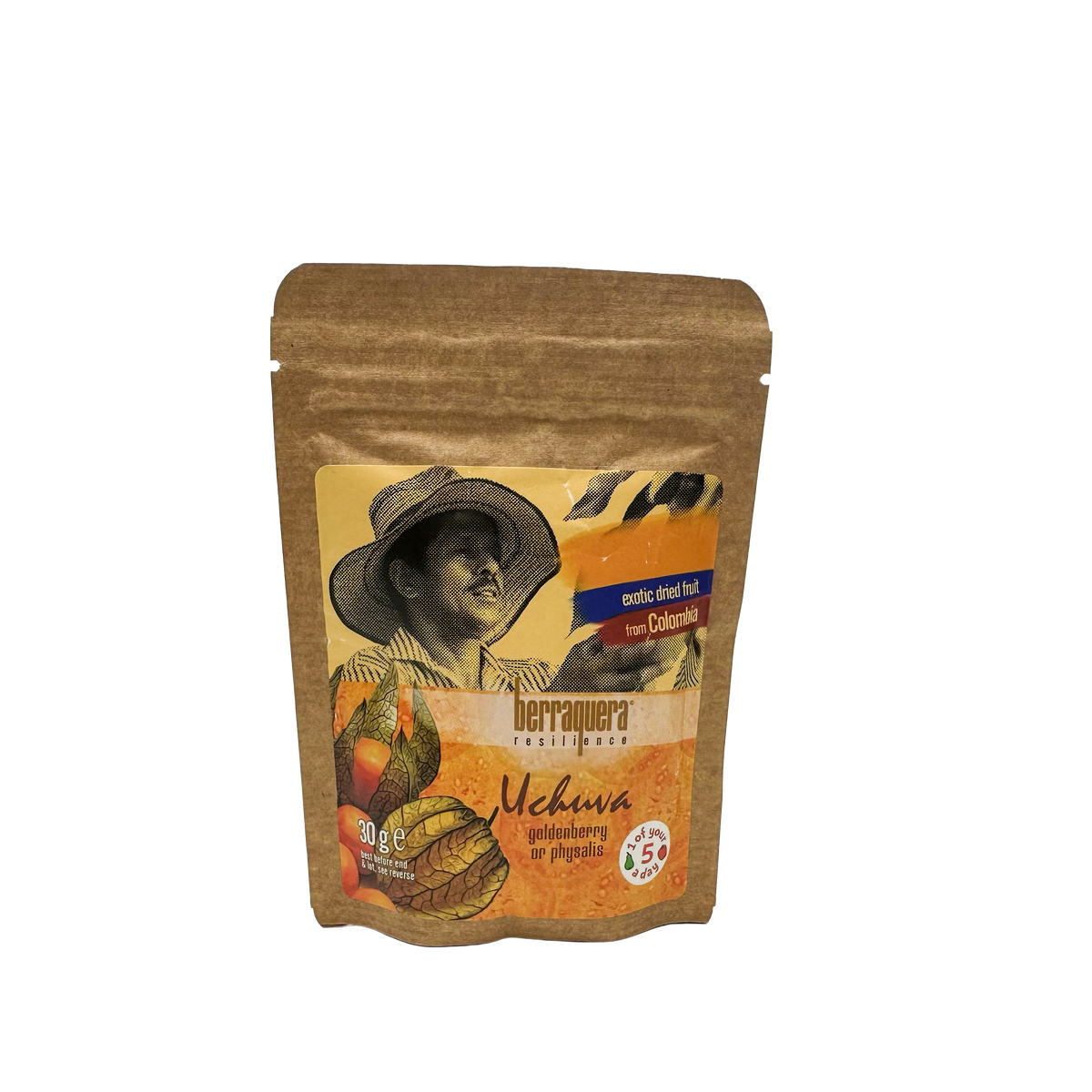 Dried Fruit Selection Pack (21 sachets)