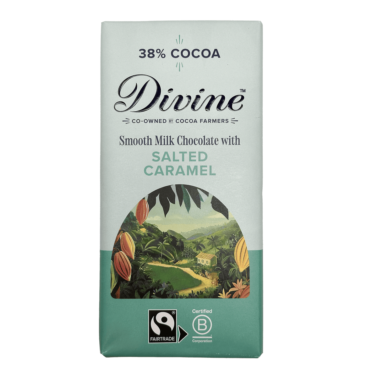 Divine Divine 38% Milk Chocolate with Salted Caramel Bar 90g