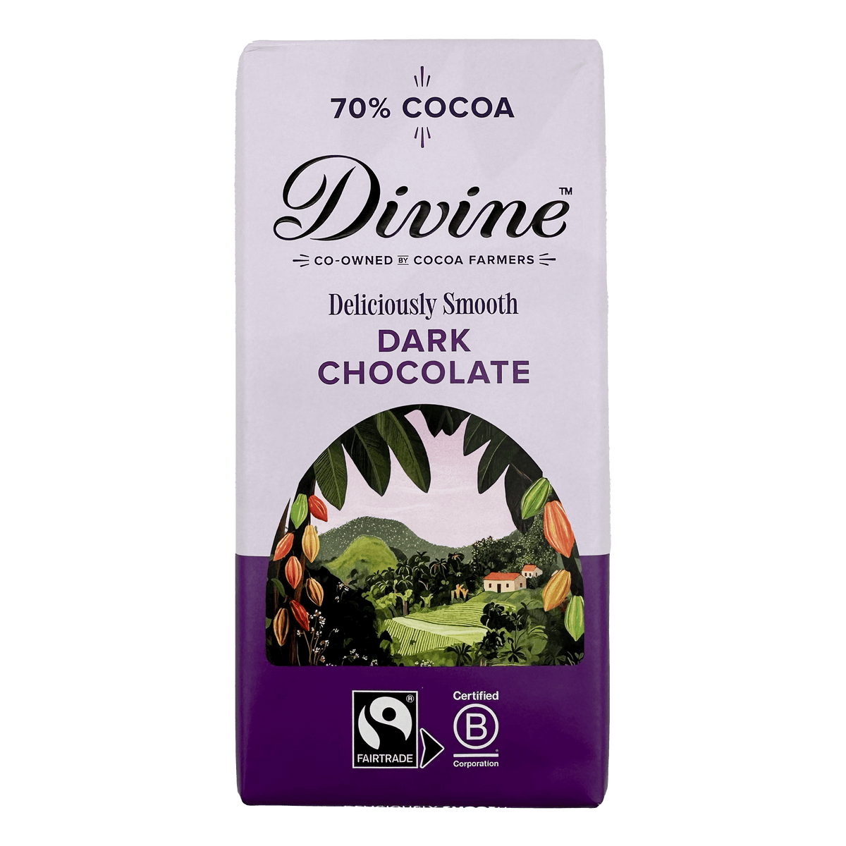 Divine Divine Chocolate 70% Dark Chocolate Bar 90g | Fairtrade Vegan Dark Chocolate