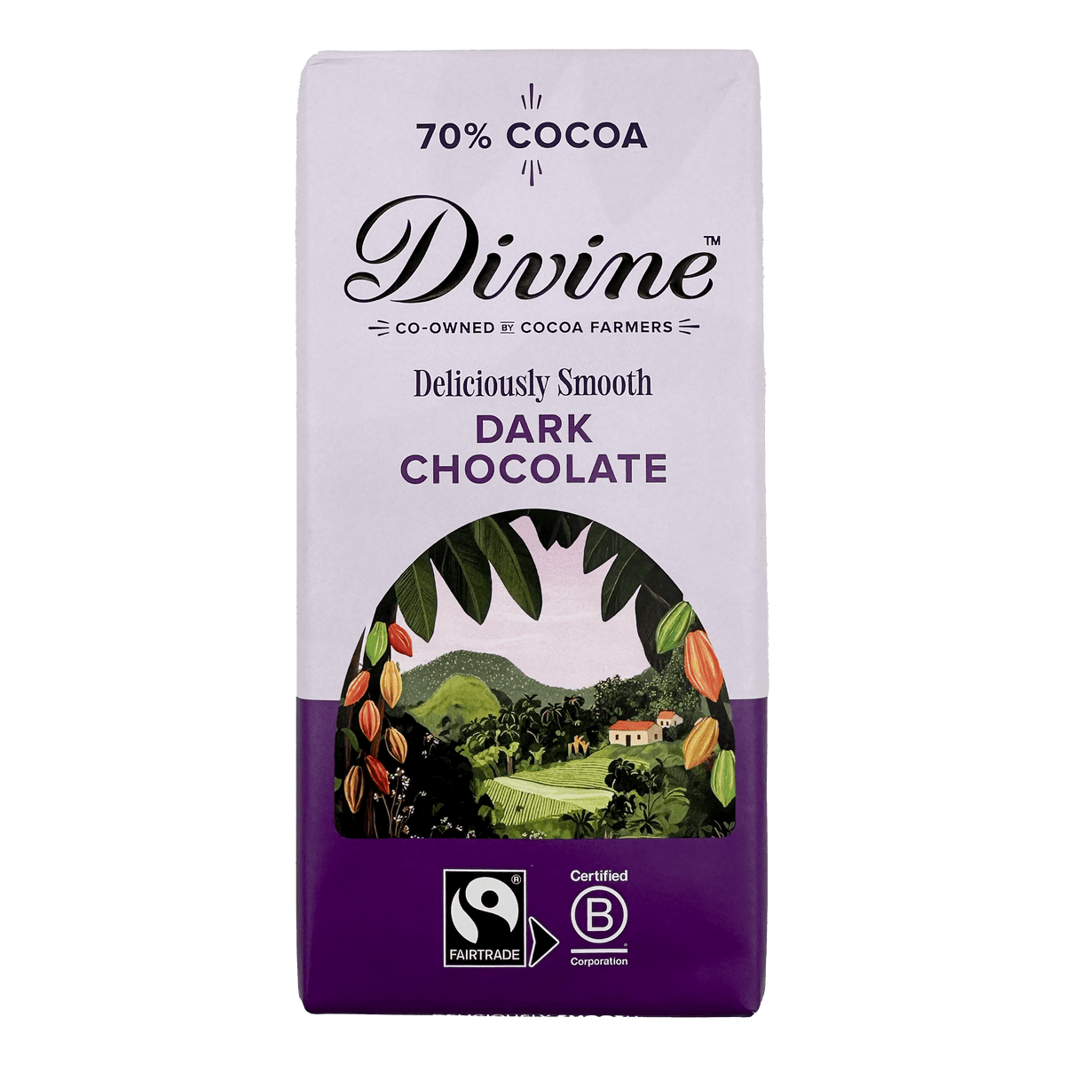 Divine Divine Chocolate 70% Dark Chocolate Bar 90g | Fairtrade Vegan Dark Chocolate