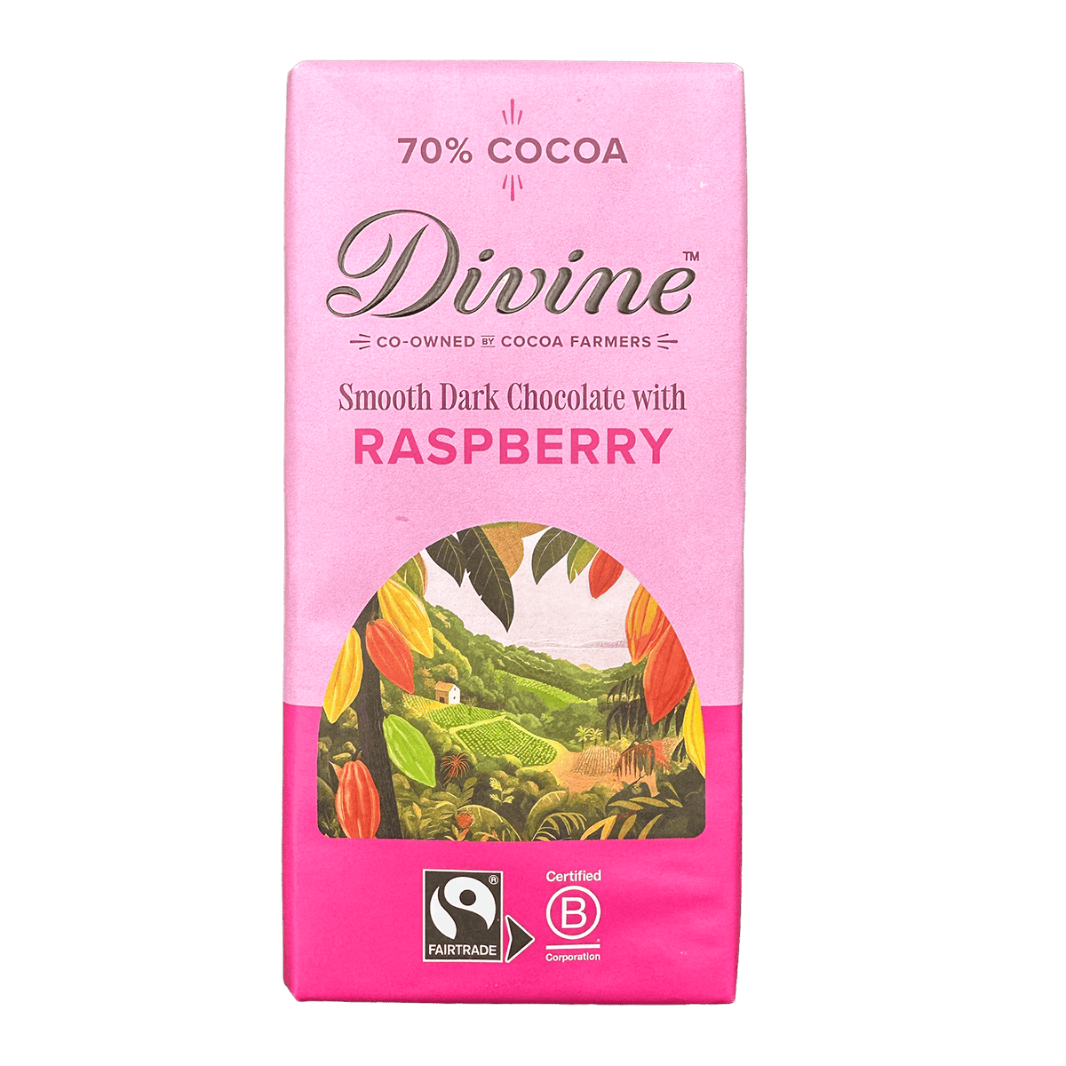 Divine Divine Chocolate 70% Dark with Raspberry 90g | Fairtrade Vegan Dark Chocolate
