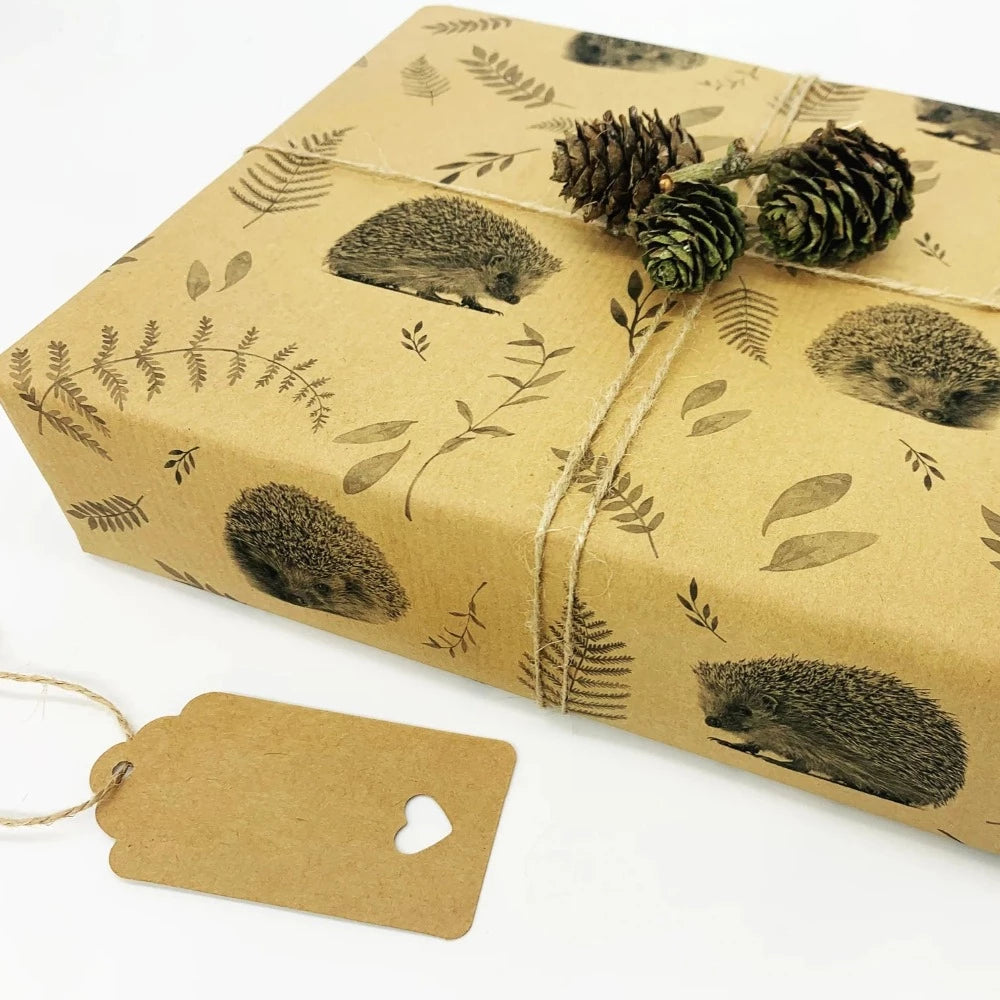 Hedgehog Recycled Gift Wrap (1m x 50cm)