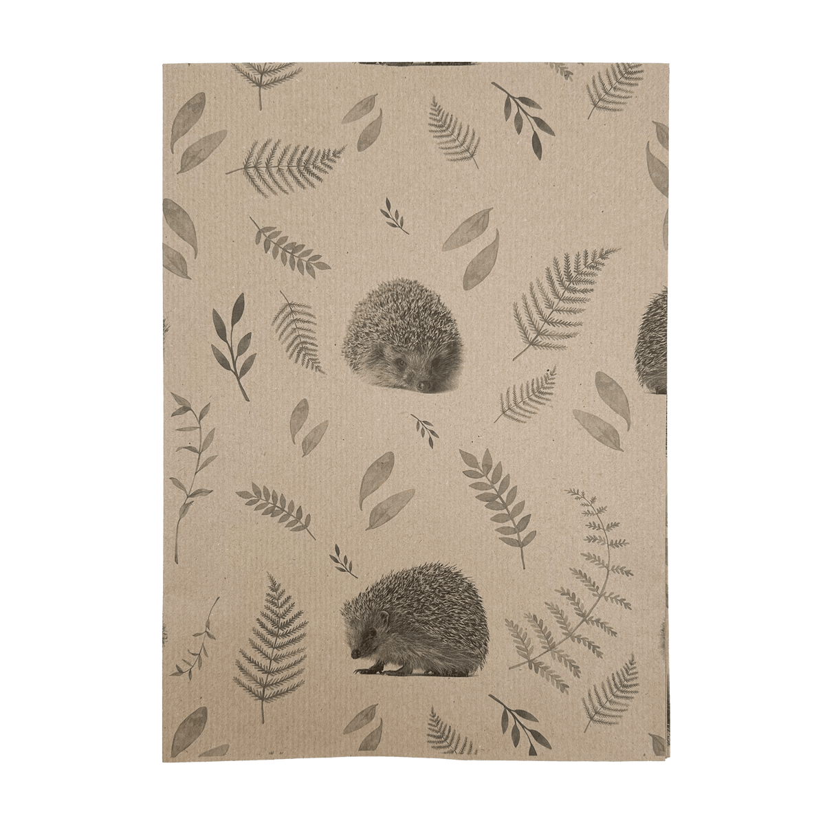 PlanetWrapIt Hedgehog Recycled Gift Wrap (1m x 50cm)