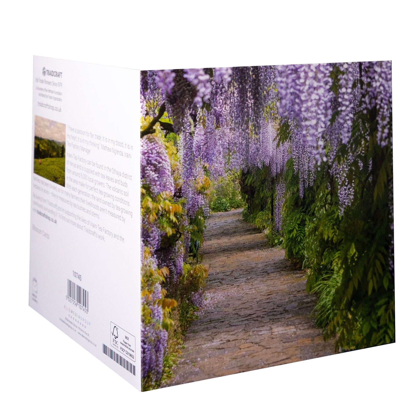 Traidcraft Blossom Cards