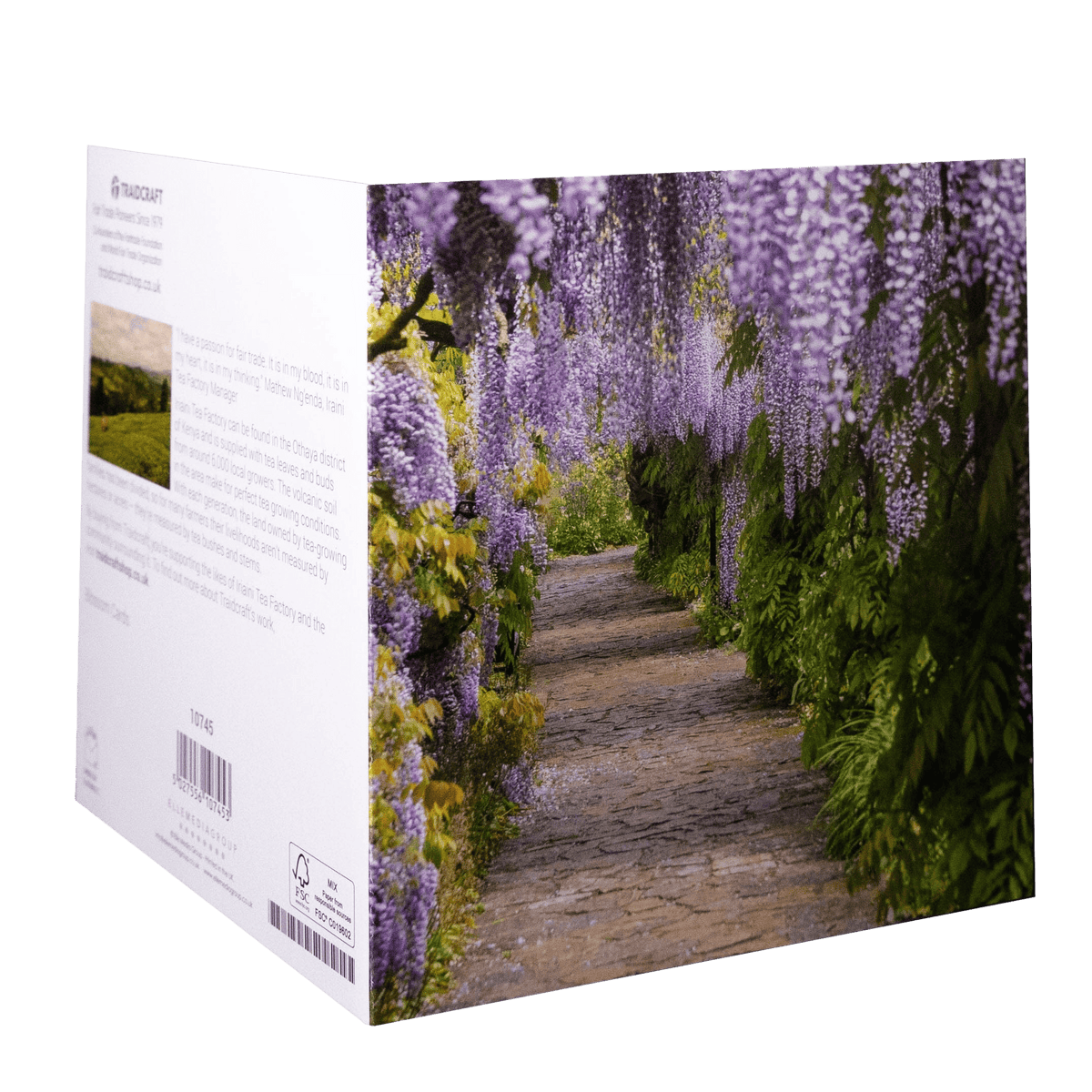 Traidcraft Blossom Cards