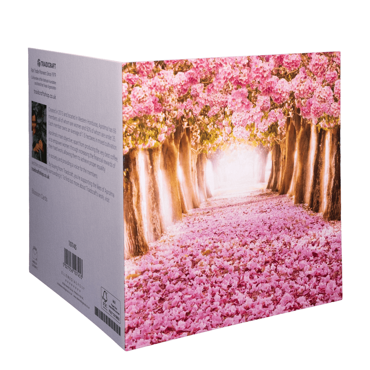 Traidcraft Blossom Cards