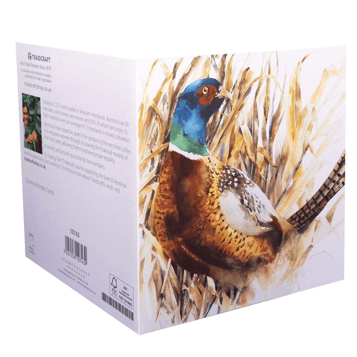 Traidcraft Country Animals Cards