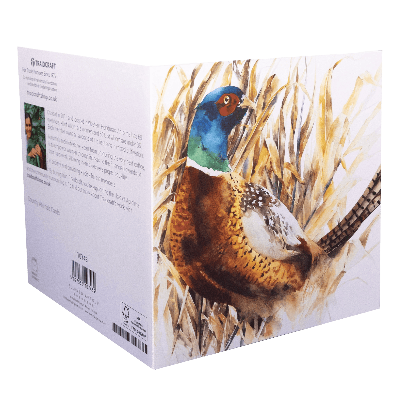 Traidcraft Country Animals Cards