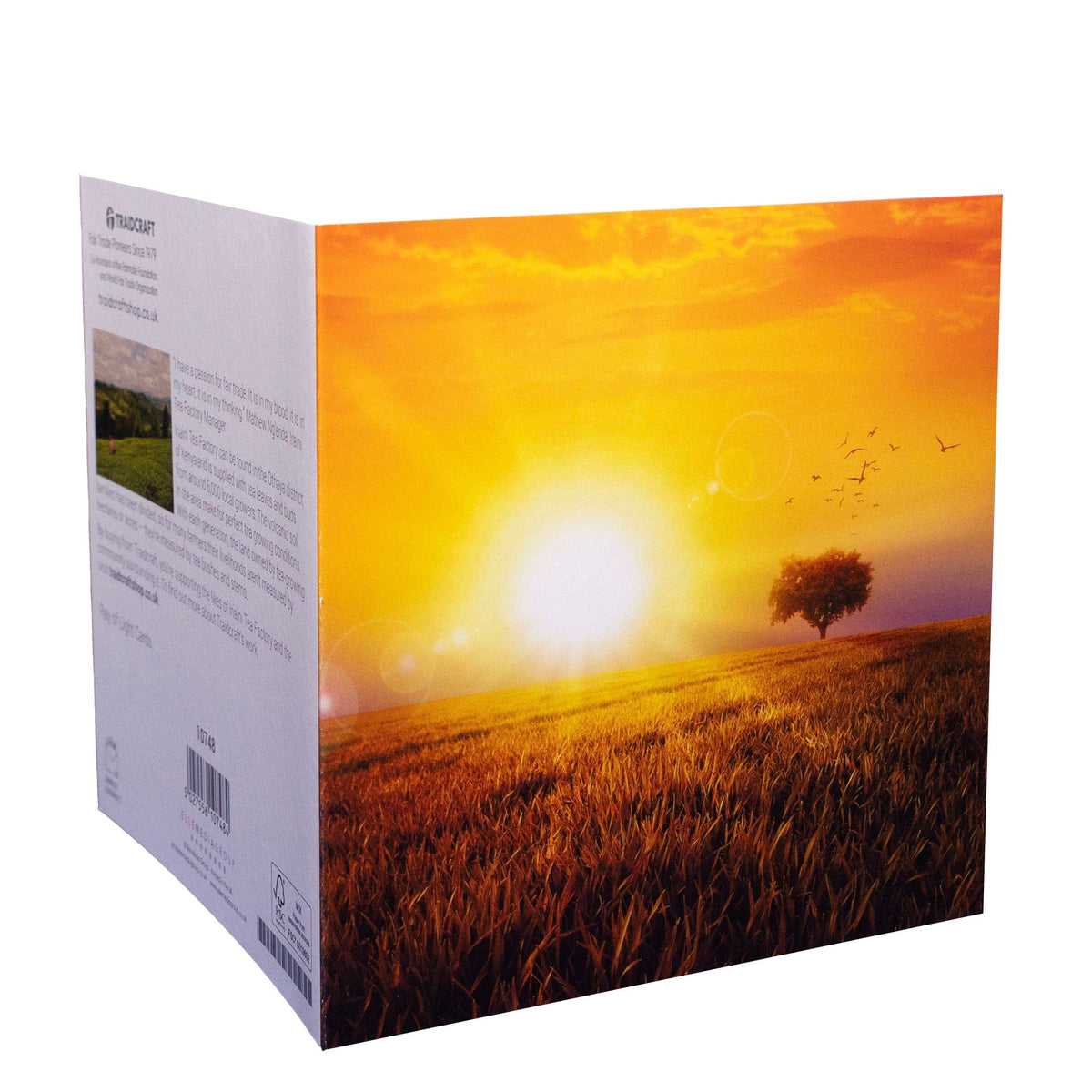 Traidcraft Ray of Light Cards