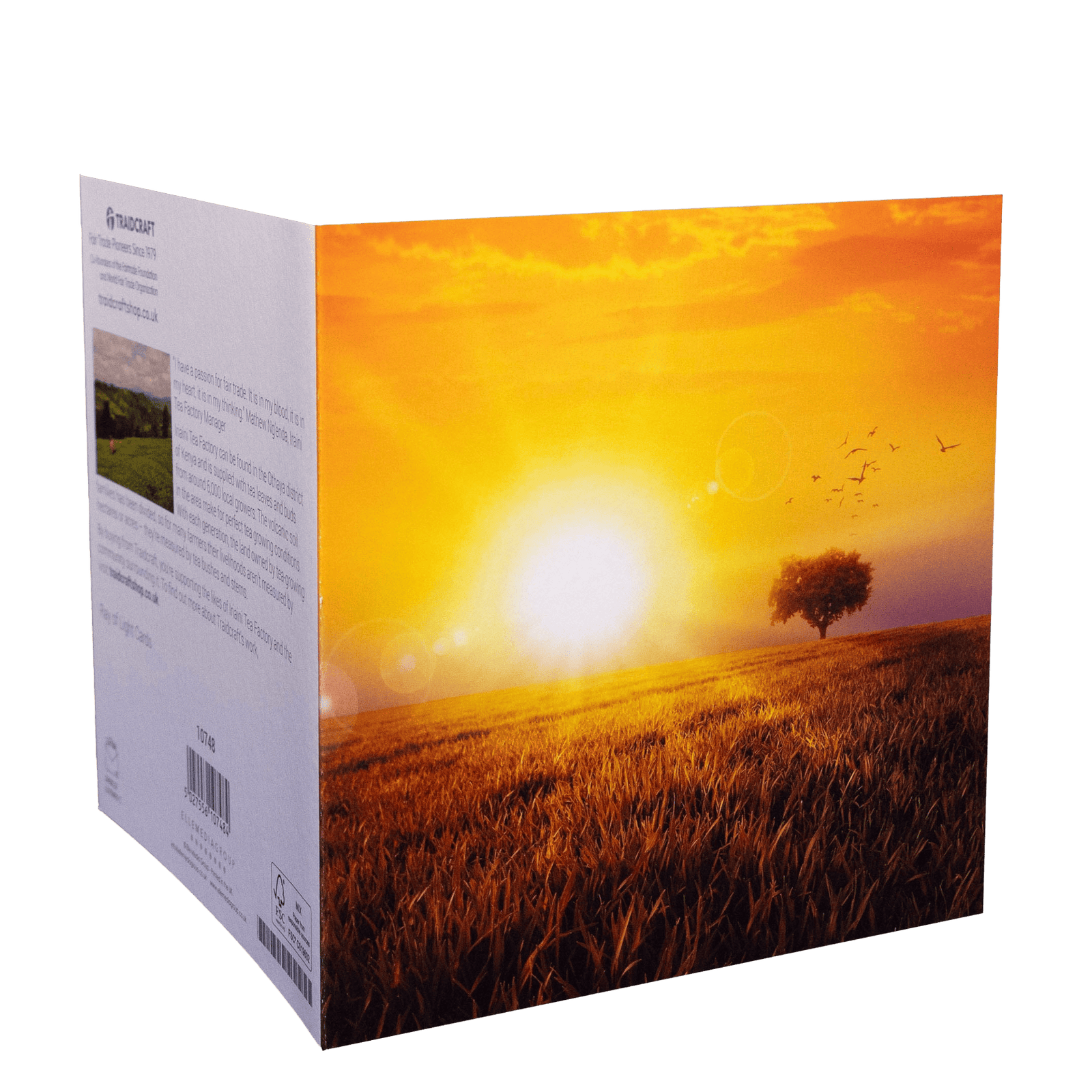 Traidcraft Ray of Light Cards