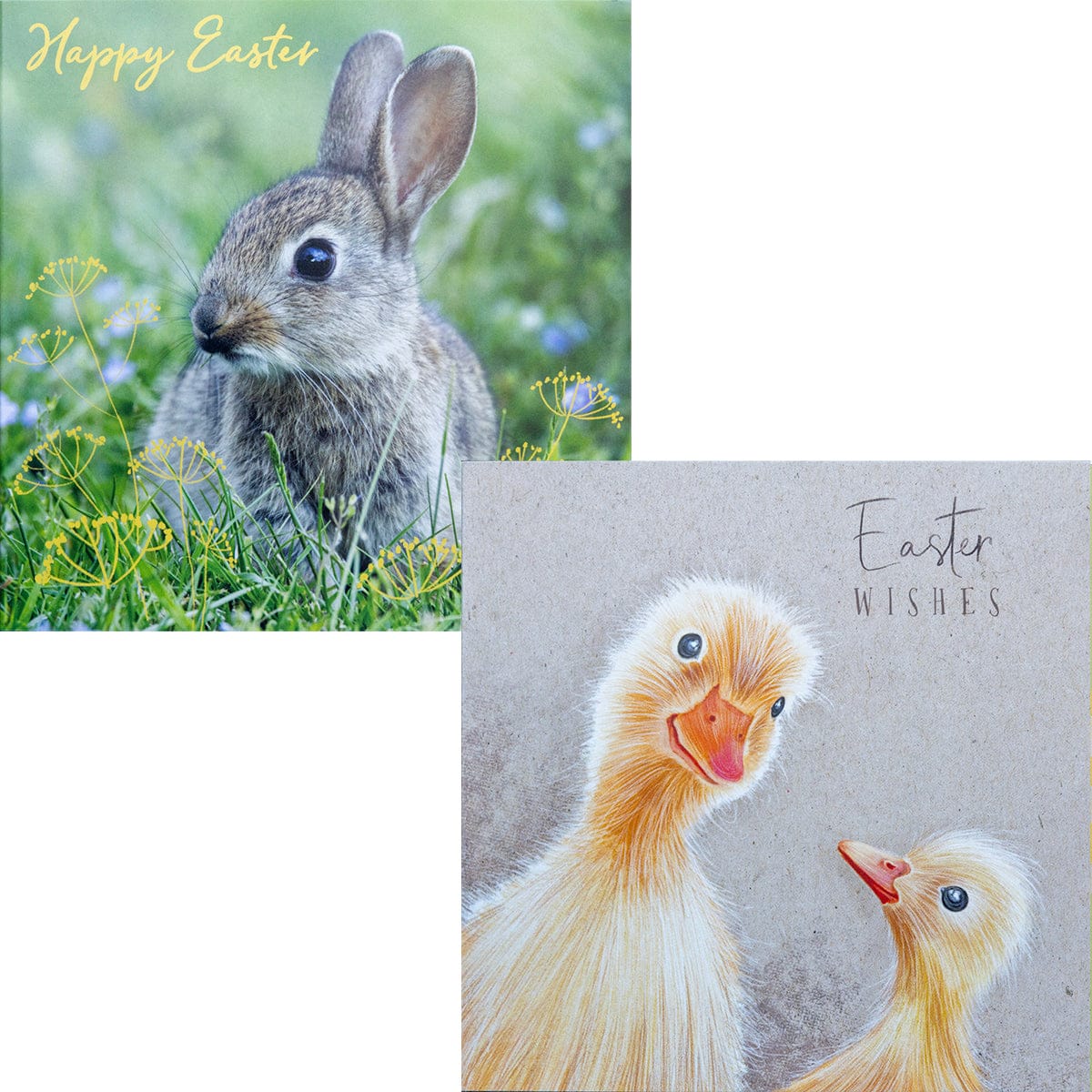 We Are Fair Trade Easter Wishes Charity Easter Cards (Pack of 10)