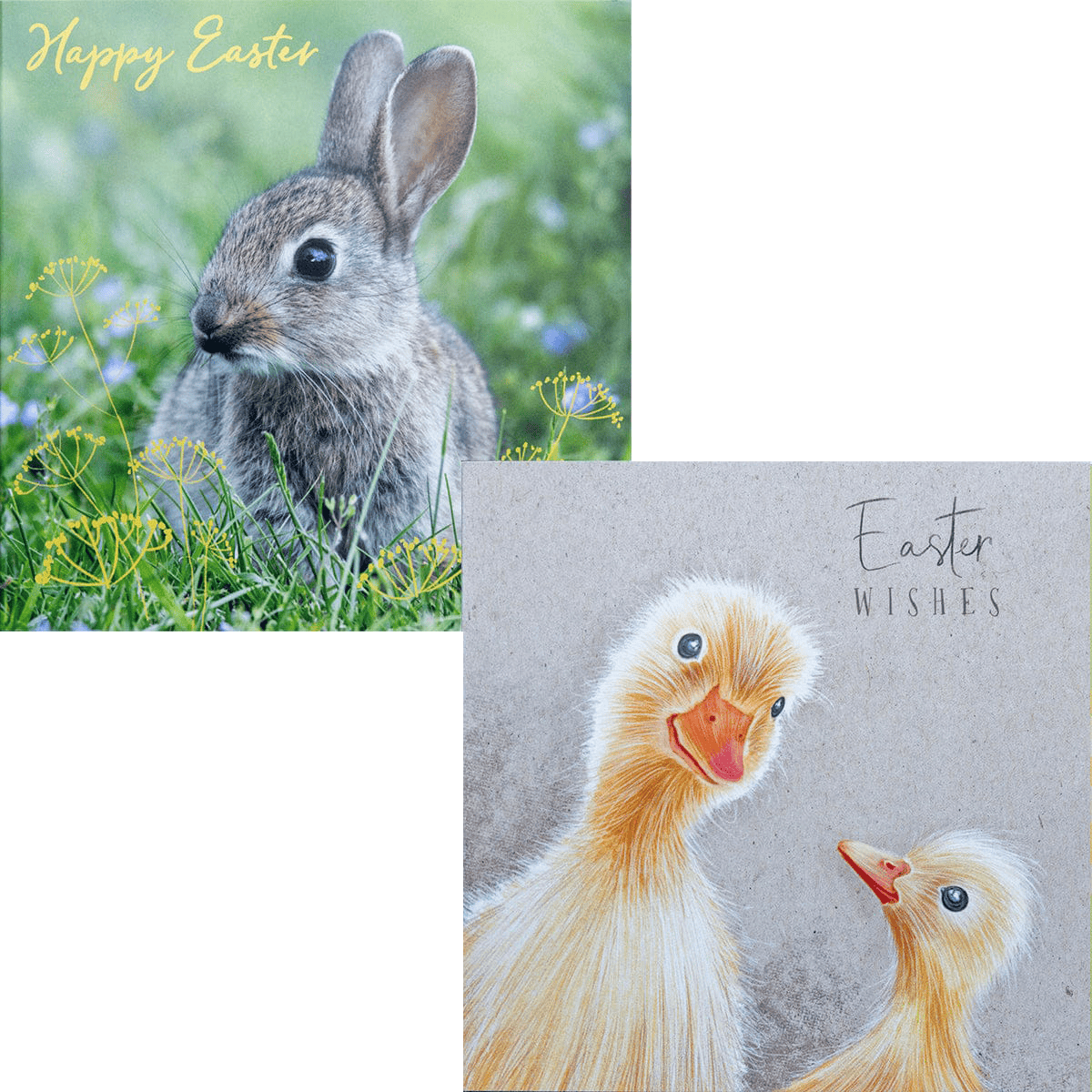 We Are Fair Trade Easter Wishes Charity Easter Cards (Pack of 10)